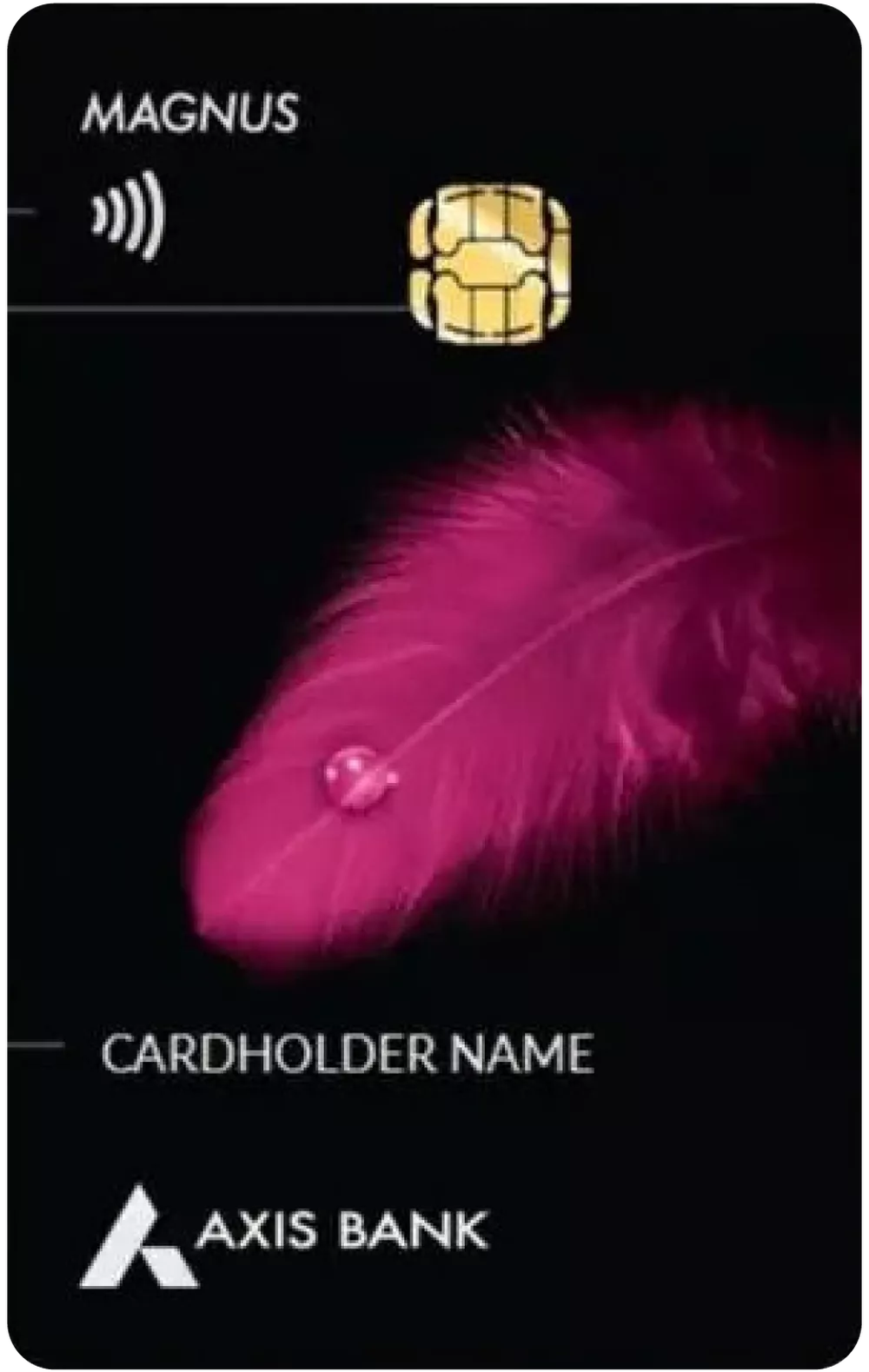 Magnus Credit Card